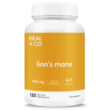 Lion's Mane 500 mg - 120 capsules