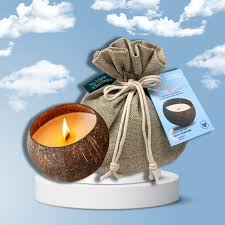 Clean Bloom Coco Candle - Clean Bloom – Nourish Canada