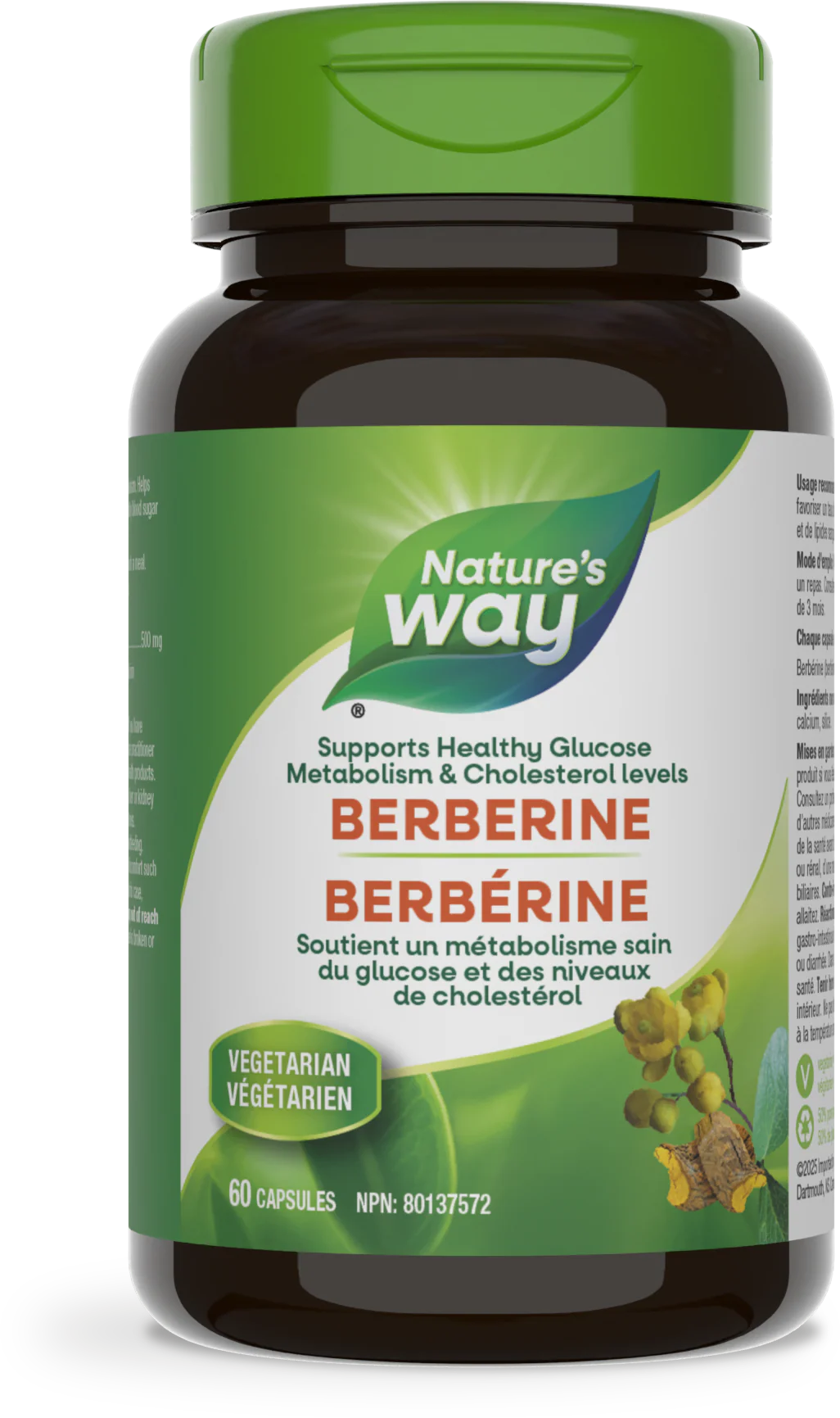 Berberine 500 mg - 60 capsules