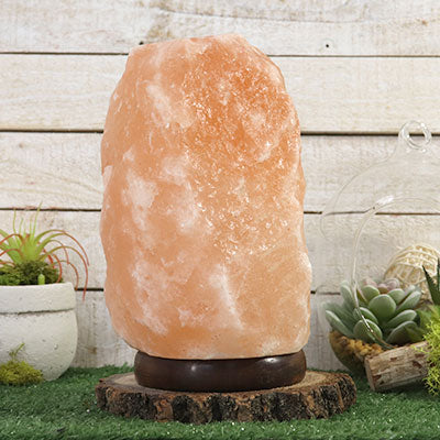 Extra-Small Coral Salt Lamp