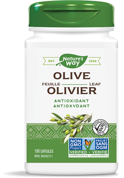 Olive Leaf - 100 capsules