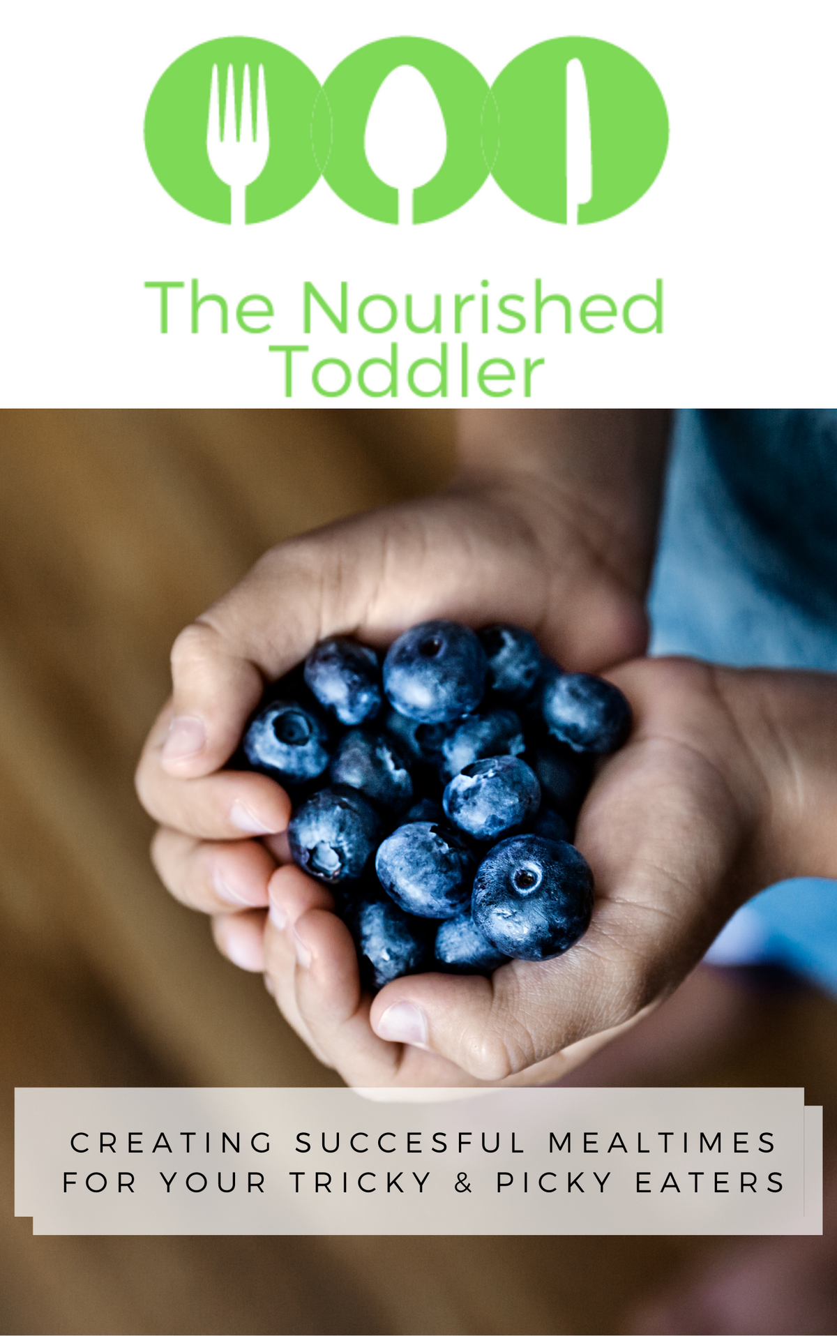 The Nourished Toddler Program
